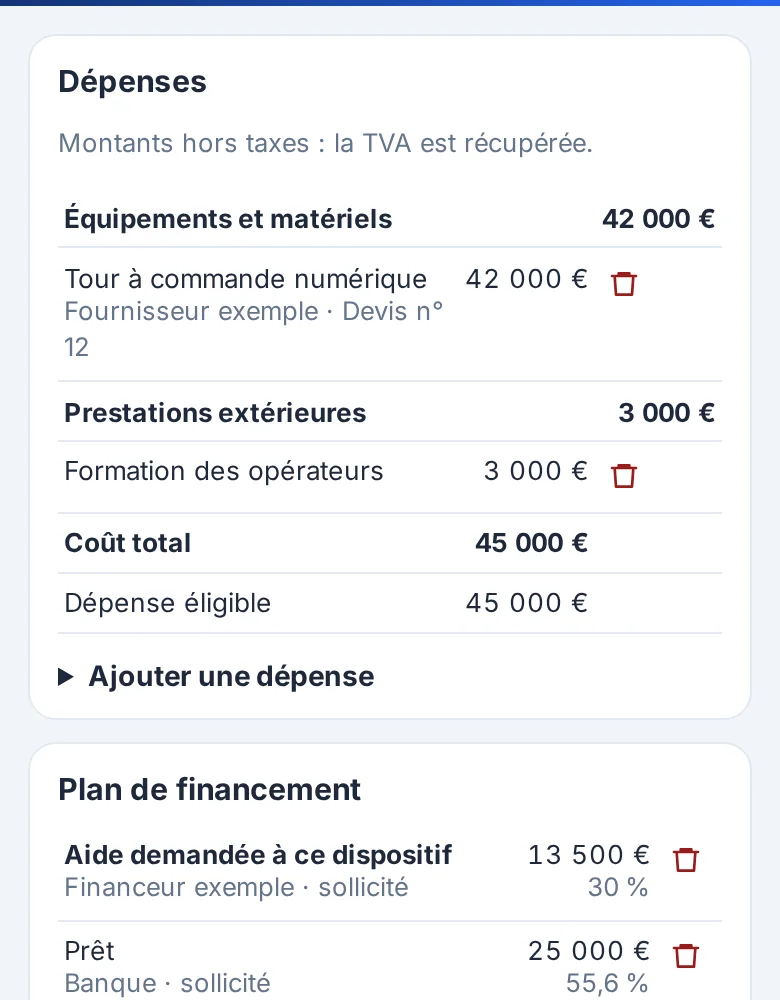 Budget et plan de financement : dépenses par poste, ressources, contrôles du dispositif.
