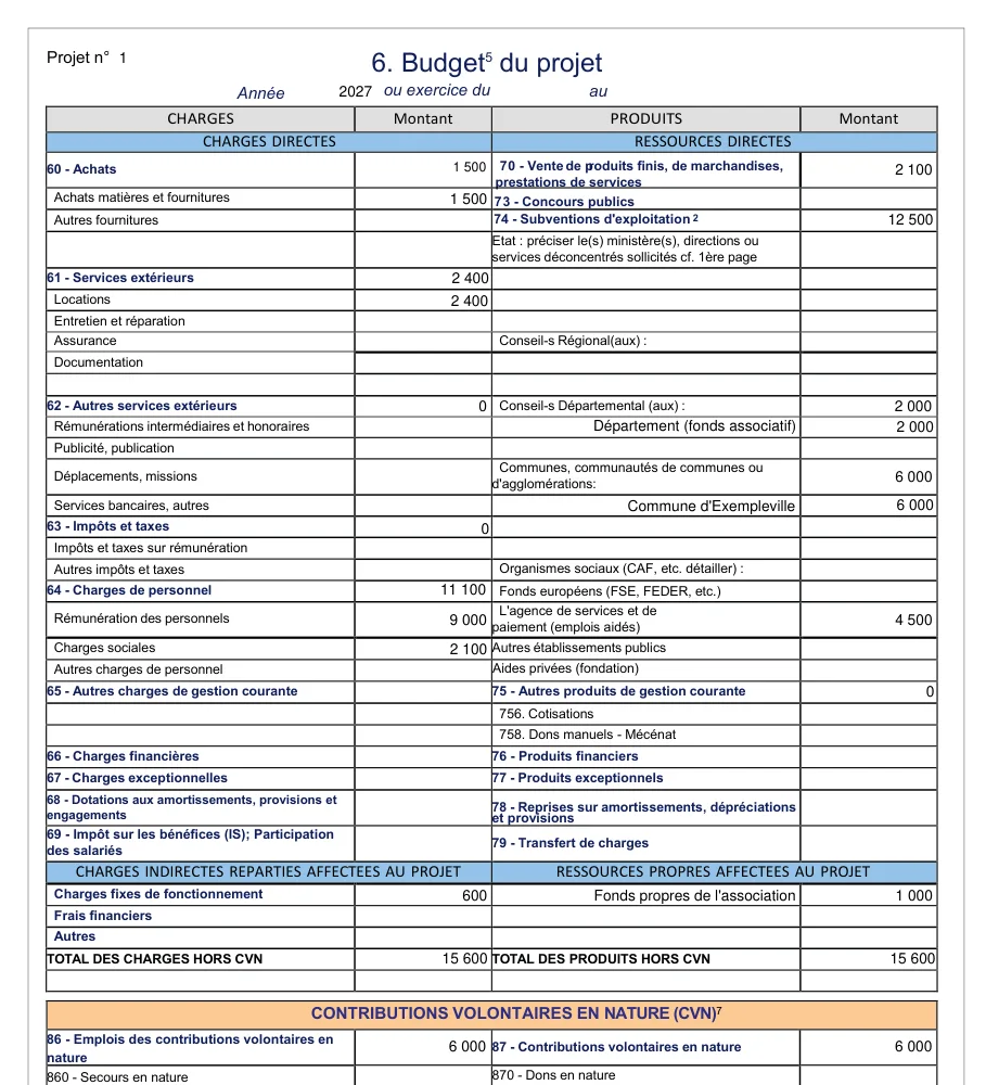 Page 7 du Cerfa 12156*06 remplie par le bloc : budget du projet, financeurs nommés, part de la subvention demandée.